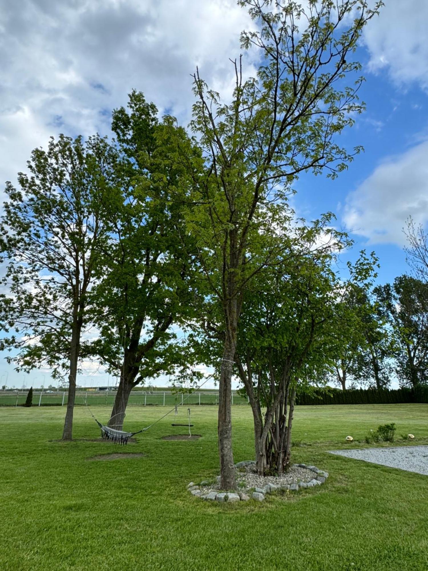 Ranczo Ryki Villa Nowy Dwór Gdański Buitenkant foto