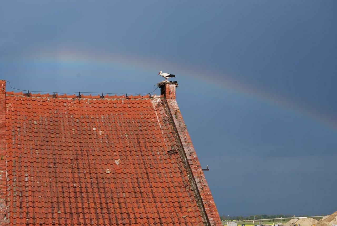 Ranczo Ryki Villa Nowy Dwór Gdański Buitenkant foto